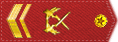 军衔:中国武警上士 军衔:中国武警上士