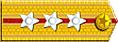 军衔:中国武警上尉