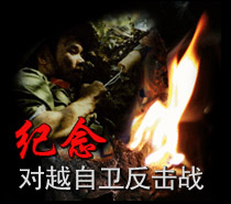 对越自卫反击战 对越自卫反击战
